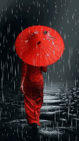 赏读：秋雨如诗，醉了谁？