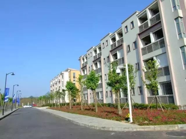 重庆一中各分校师资、学费、分班、作息等都在这里