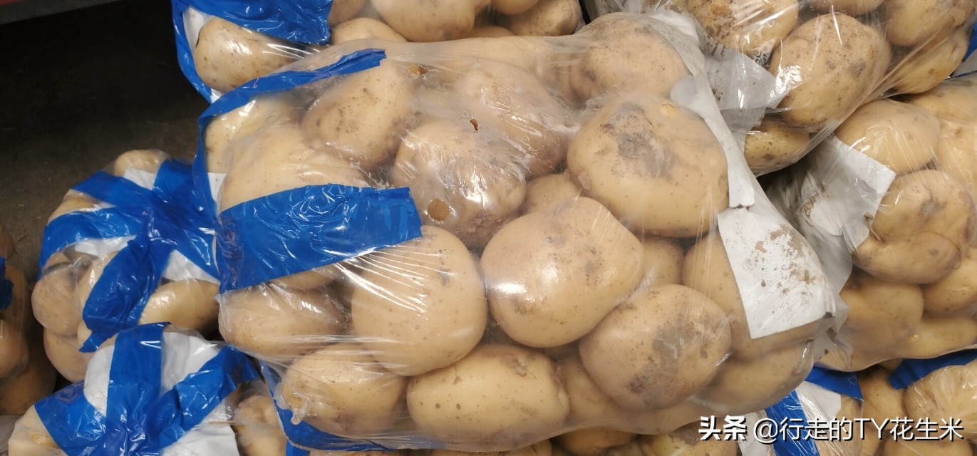 重庆双福农产品批发市场6月17号部分果蔬批发价格（请关注）