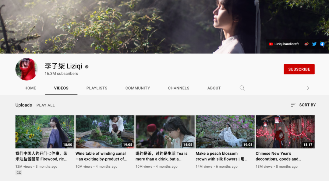 “李子柒”不属于李子柒