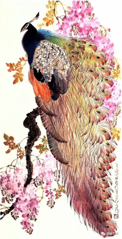 孔雀东南飞！高贵、冷艳的白孔雀