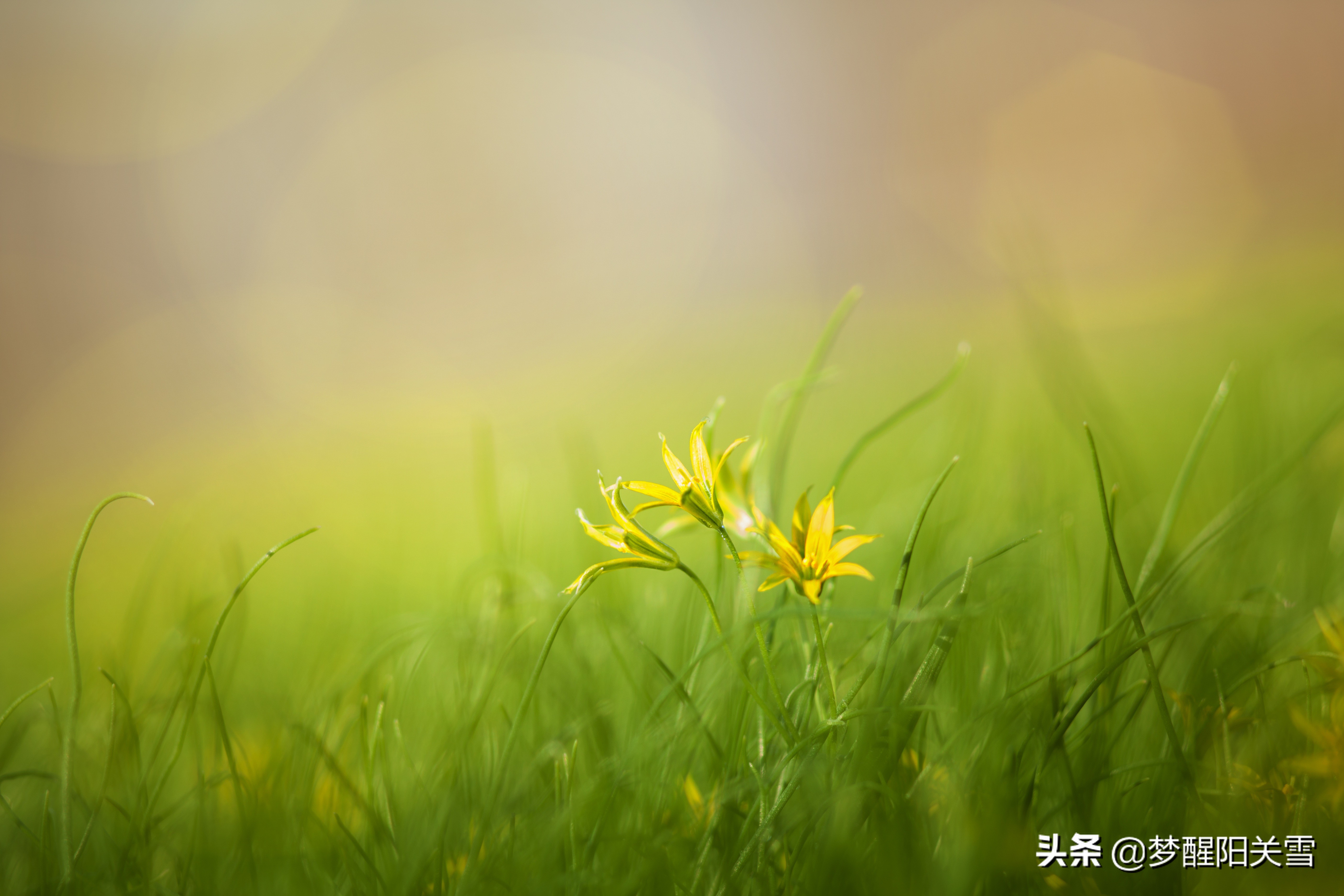 “死水”如何才能让堕落的生活起死回生，我听到了熟悉的“声音”