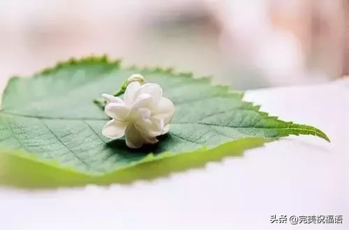 心宽一寸天地宽，遇事从容自安然
