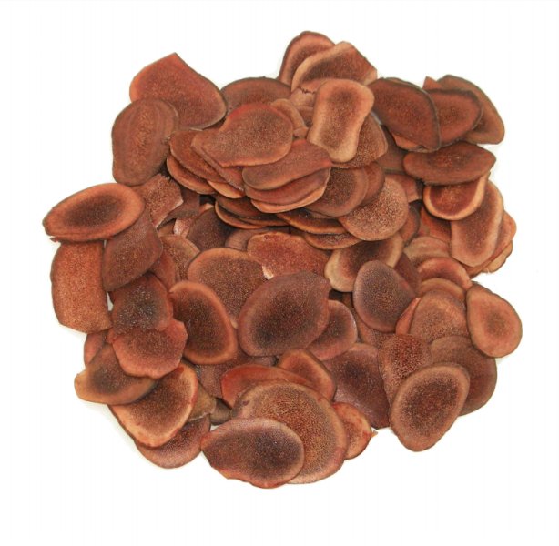 补肾中药有哪些(补肾中药材大全一览表) - 家电维修网