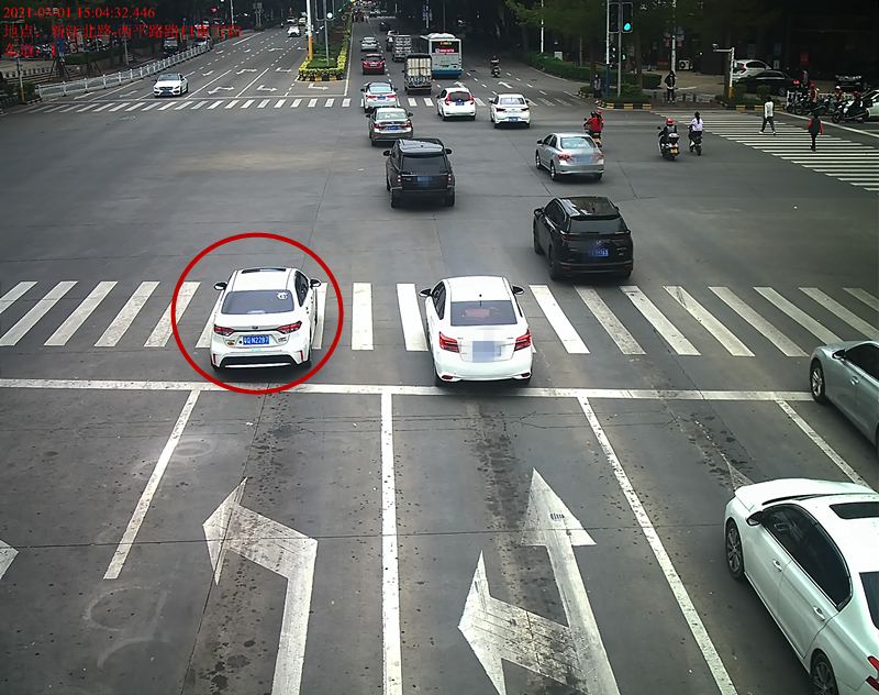 交通违法曝光！