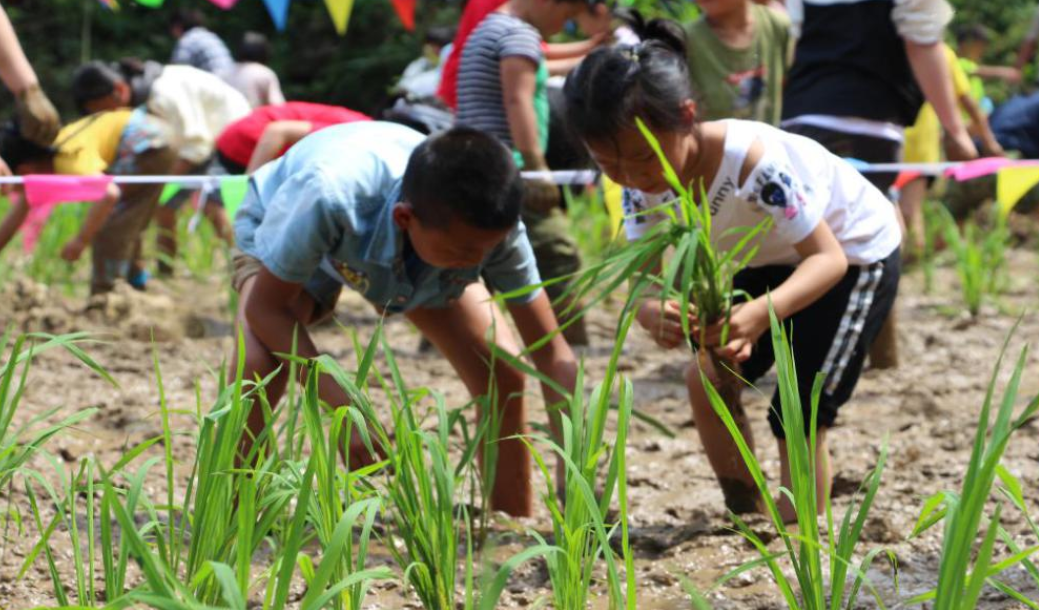 从“语数外”到“音体美”，培训机构转型，能否大获成功？