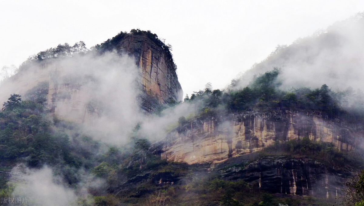 红茶争霸：阿萨姆红茶、锡兰红茶、祁红、滇红等，谁才是盟主？