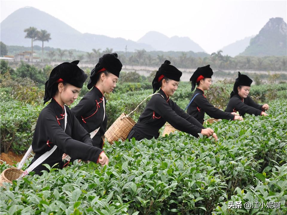 广西各个县的旅游宣传口号，等你来补充