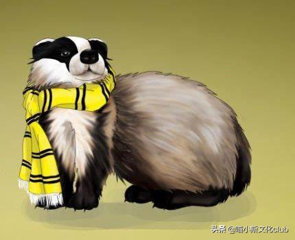 《哈利波特》：霍格沃茨四大学院，唯有赫奇帕奇的名字与动物无关