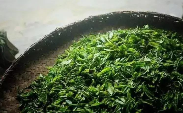 长见识了!原来这些名茶都是僧人发明的
