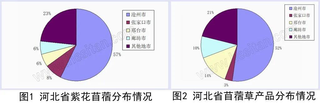 刘忠宽：疫情全球扩散 河北牧草产业机遇多挑战大