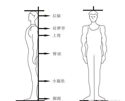 「身高测量提醒」如何准确测量身高？