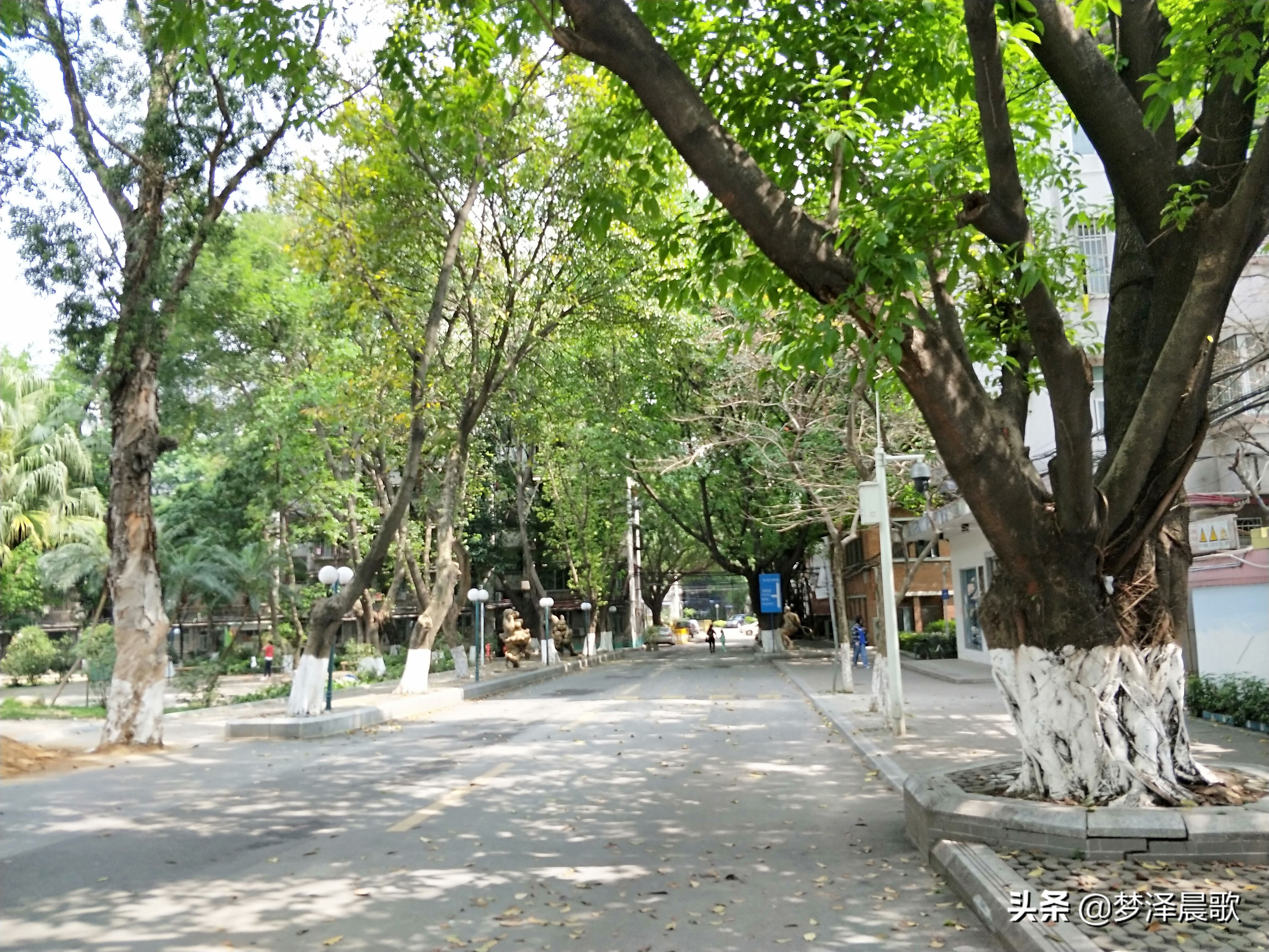 一流高职院校广东轻工职业技术学院