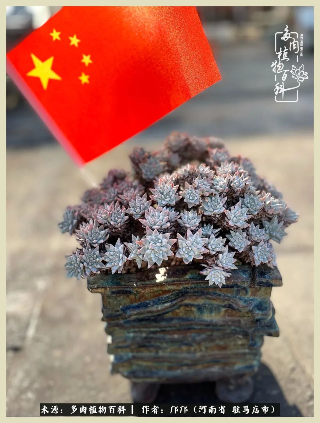 举国欢庆迎国庆，歌舞升平喜相迎！我们都是护旗手