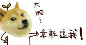 史上最清奇的神转折句子，脑子不好都跟不上节奏哦
