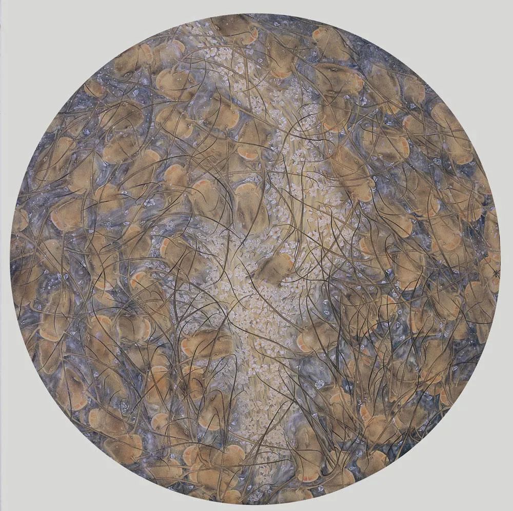 独特的艺术风格，寂静而俊丽