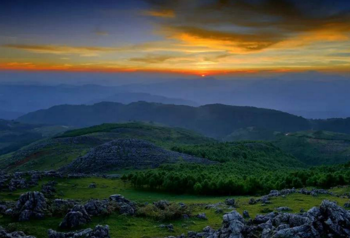 四川“考霸”张非：4次考上国内顶尖大学，为何最终却泯然众人？