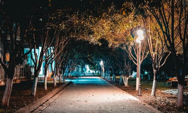 武昌理工学院究竟有多美？一组图告诉你什么才是湖景校园