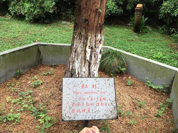 毛澤東送給尼克松12字墨寶，尼克松看后一頭霧水，近50年無人能解