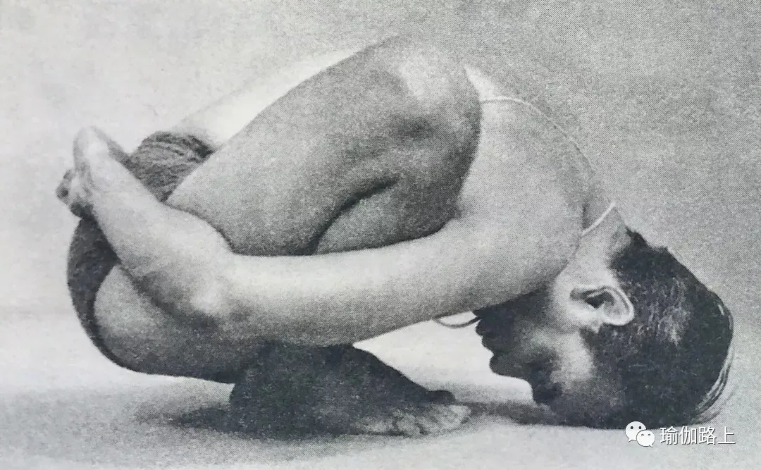 艾扬格密集一 | 32 个经典体式 & 2 大呼吸法经典示范图