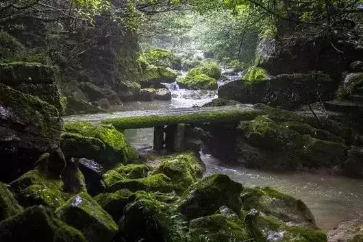 还有9天，贵州人集体放假！85个度假胜地马上安排！