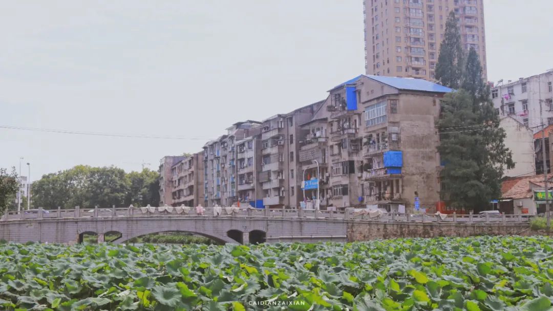 情人桥、城南路、二小巷子、蔡正街等地方，勾起你多少回忆？