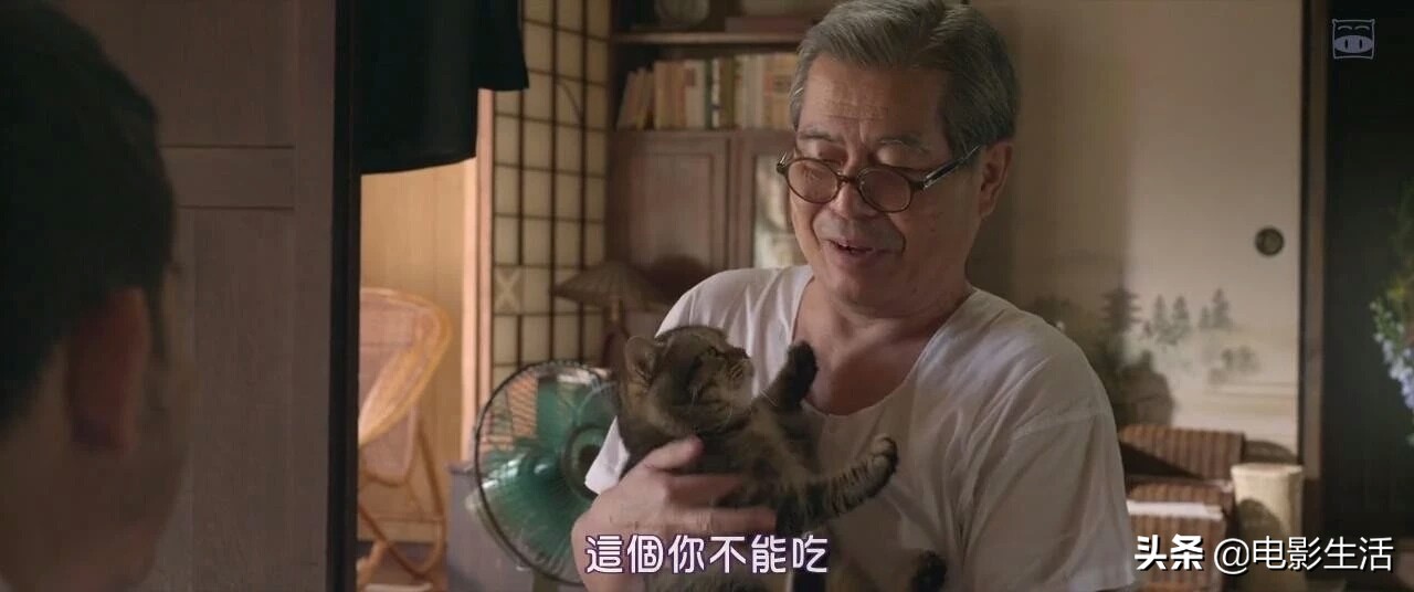 神探伽利略第二季粤语在线(日本国民级演员给小透明作配？这片胆子可真够大)
