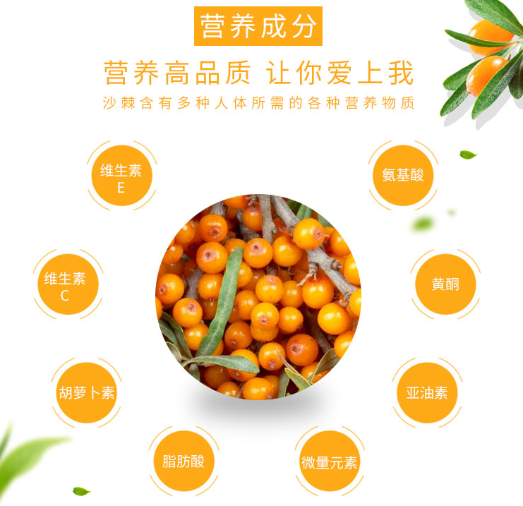 沙棘：一分钟抢光十万箱，沙棘果汁真有那么好喝吗？