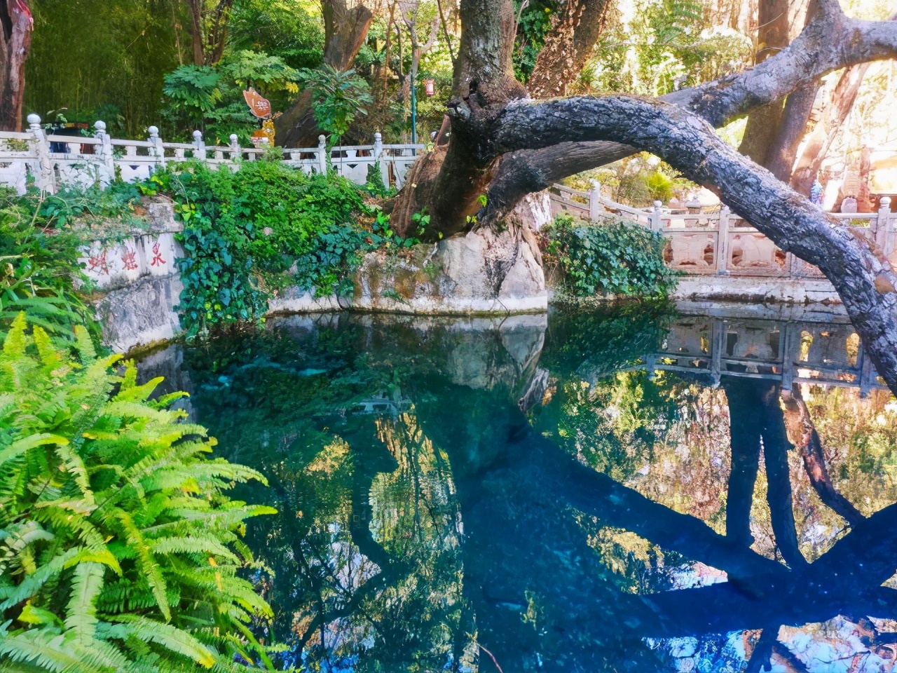 原来大理蝴蝶泉也有一个梁祝传说,每到春天就蝴蝶舞翩翩