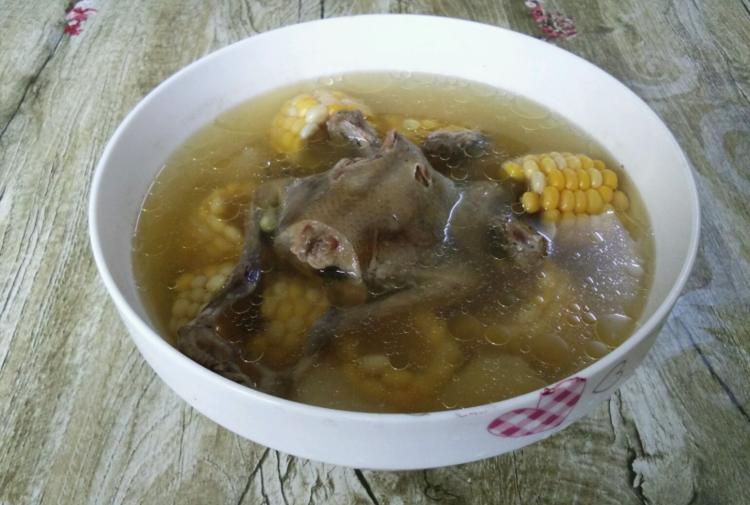 为什么杀鸽子时不能放血，只能用水淹死？老人说出重点