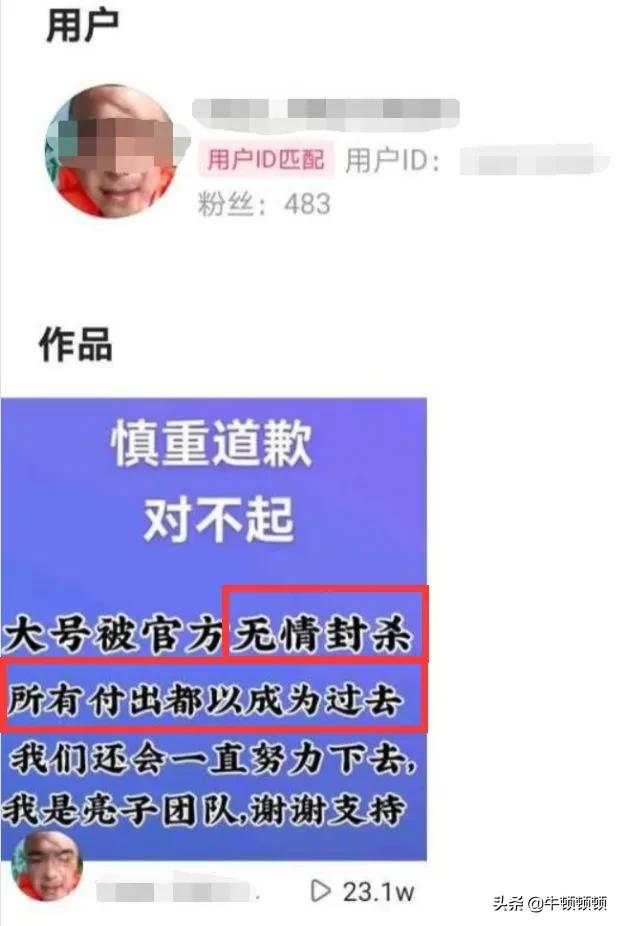 网红圈到底有多乱？流量经济的罪与罚