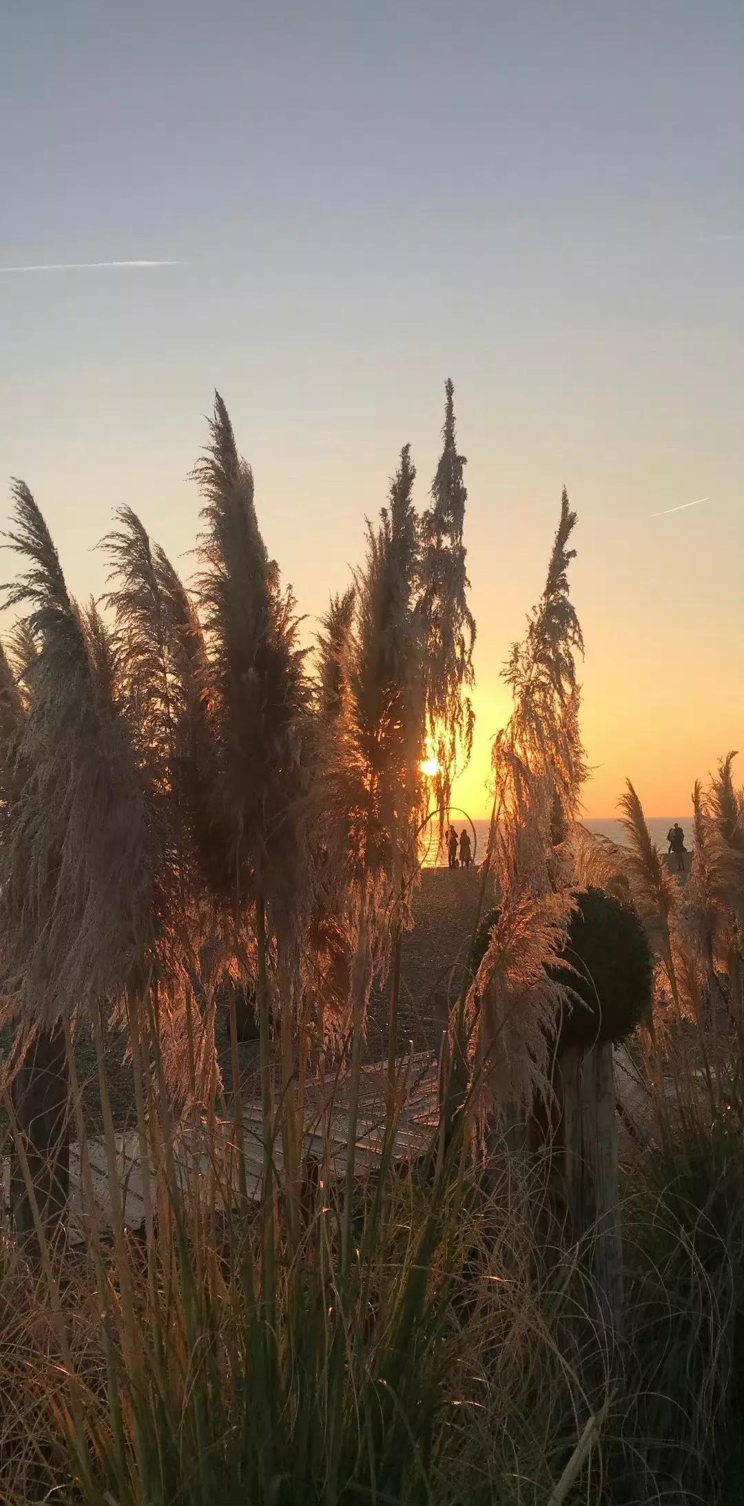 壁纸小馆：法式复古风壁纸 | 田园风景壁纸