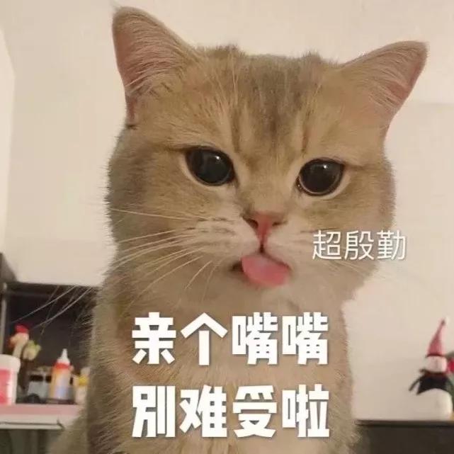 "拿去发给你家臭宝的表情包"