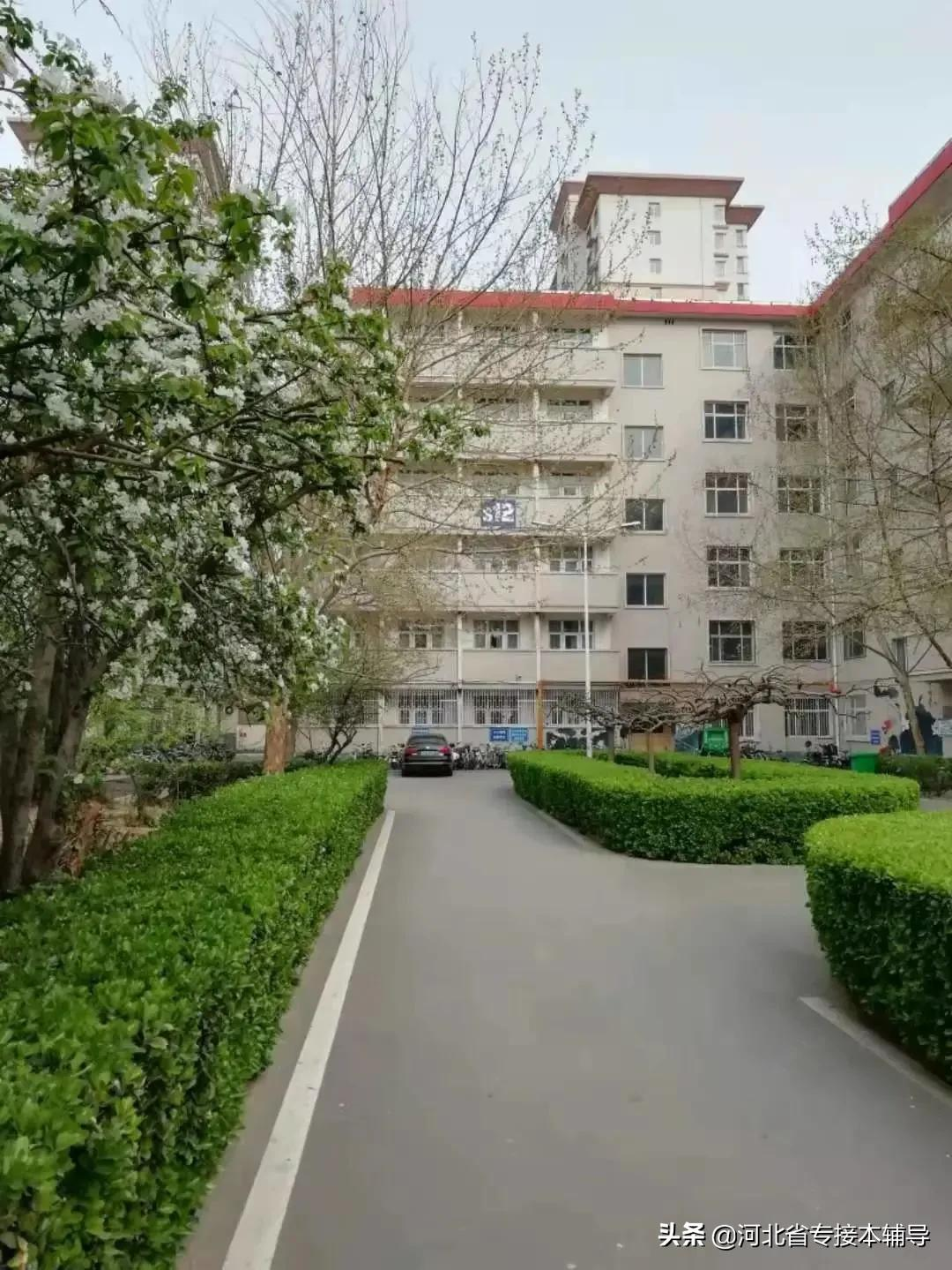 衡水学院：相比上一年招生减少1/3的名额