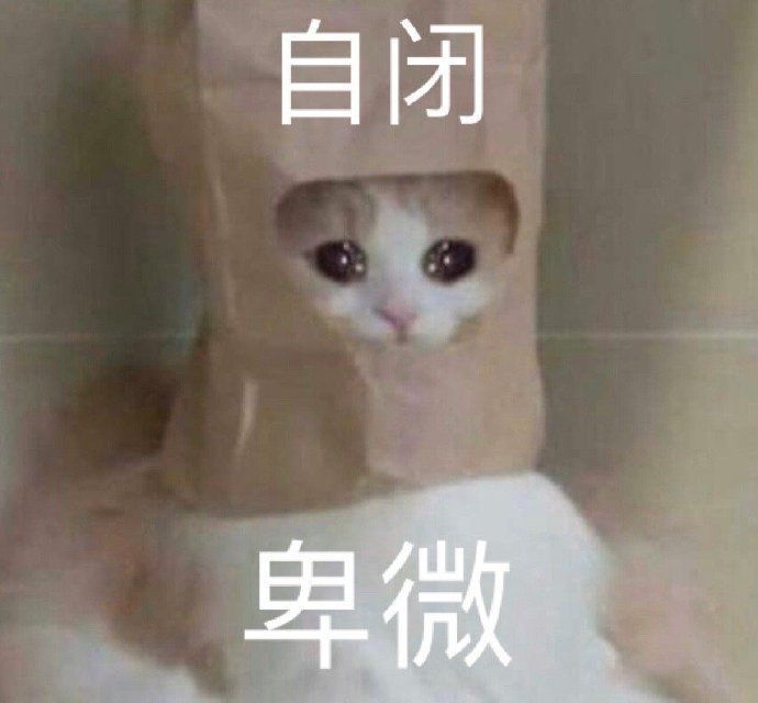 猫咪表情包合集｜我就是馋你的身子