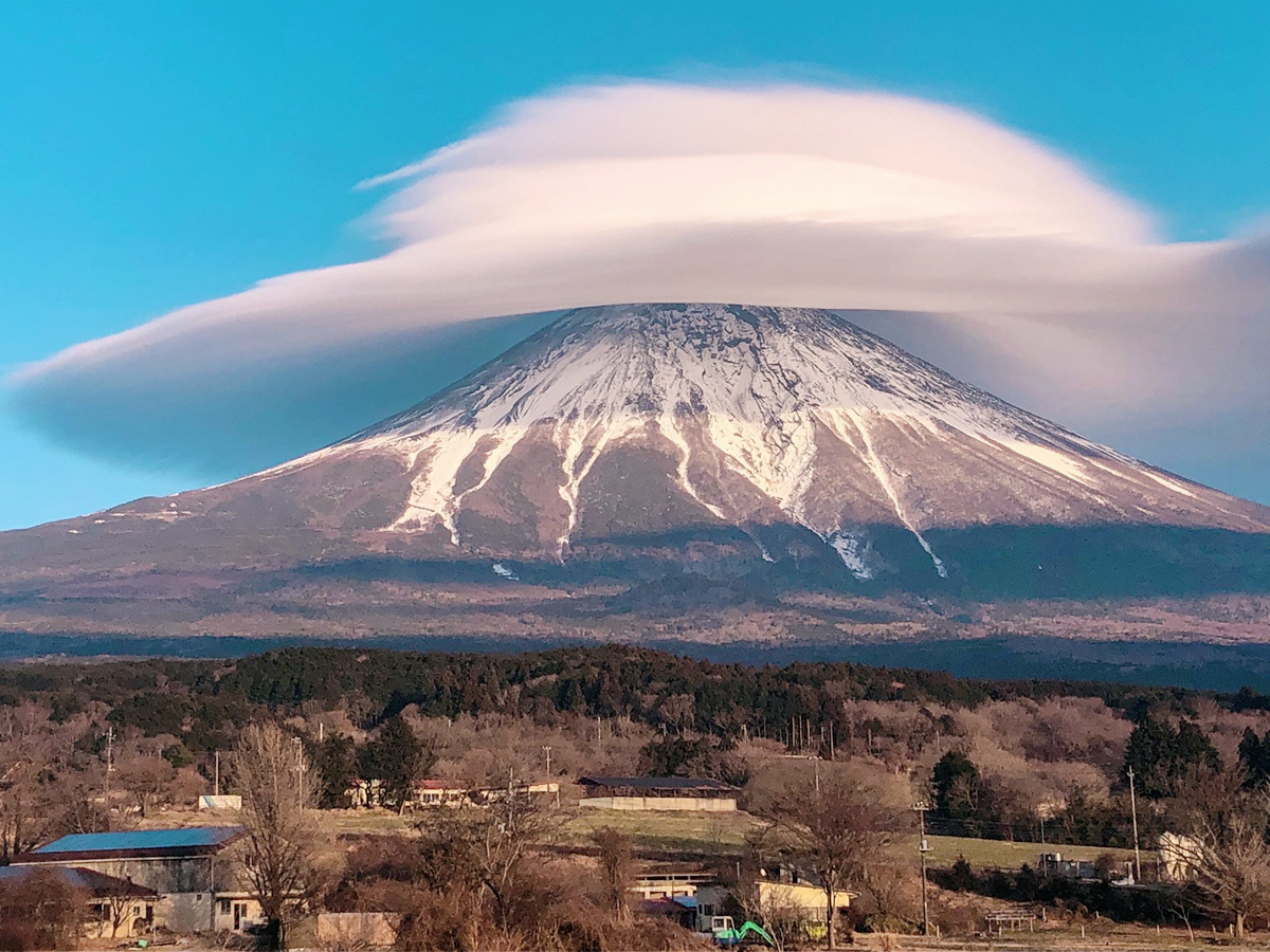 雪洒富士山，看樱花开满山头，象征爱情纯美的样子