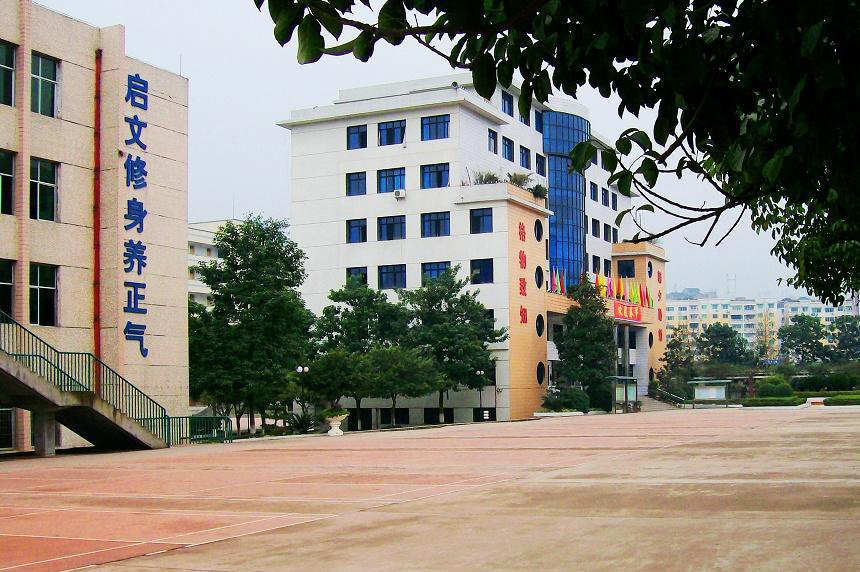 四川广安三所高中2020高考，武胜中学创佳绩，各高考指数全面上扬