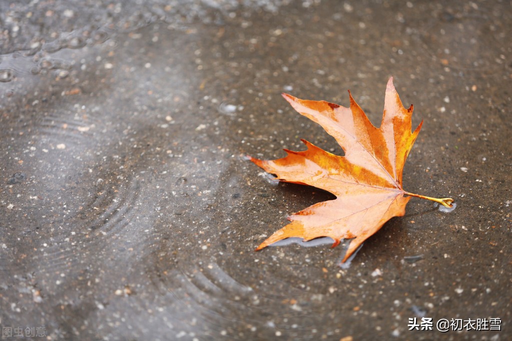 初秋秋凉美诗五首：夜来秋雨后，秋气飒然新