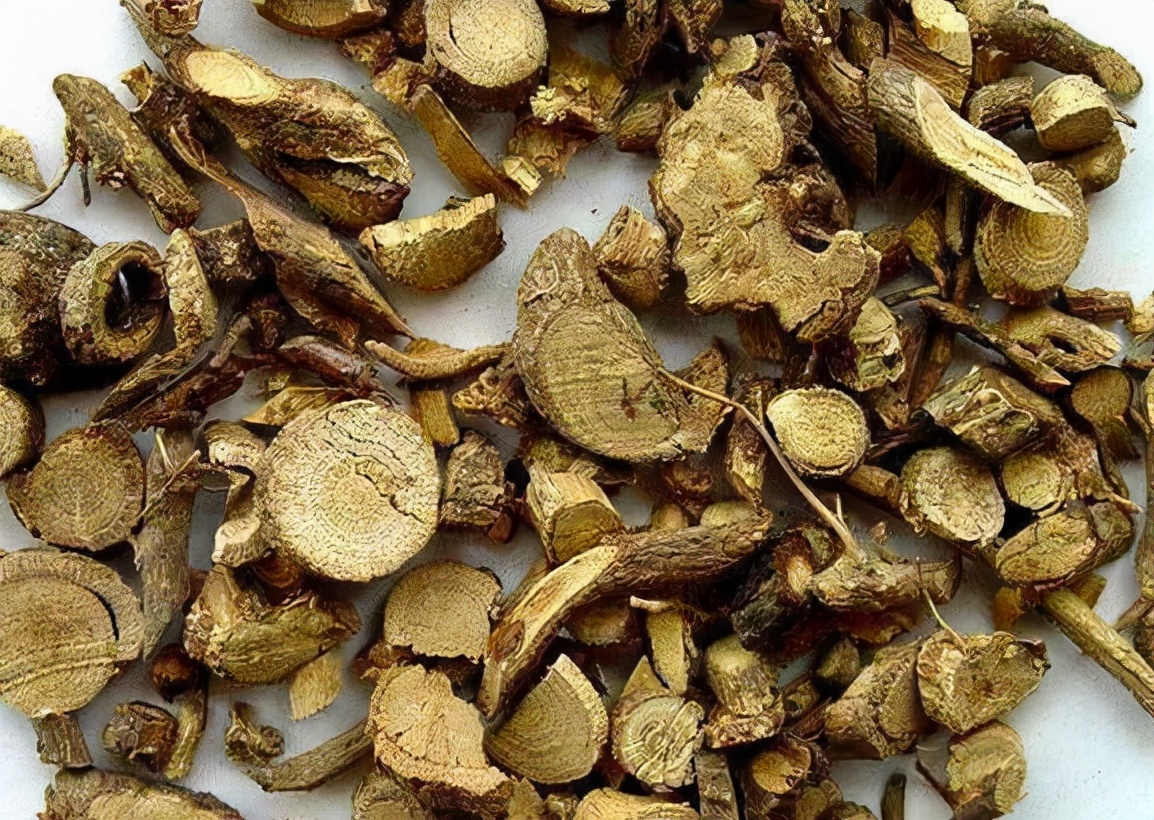 野外这种"山豆根",比黄连还苦,根茎价值珍贵,野外见到别放过