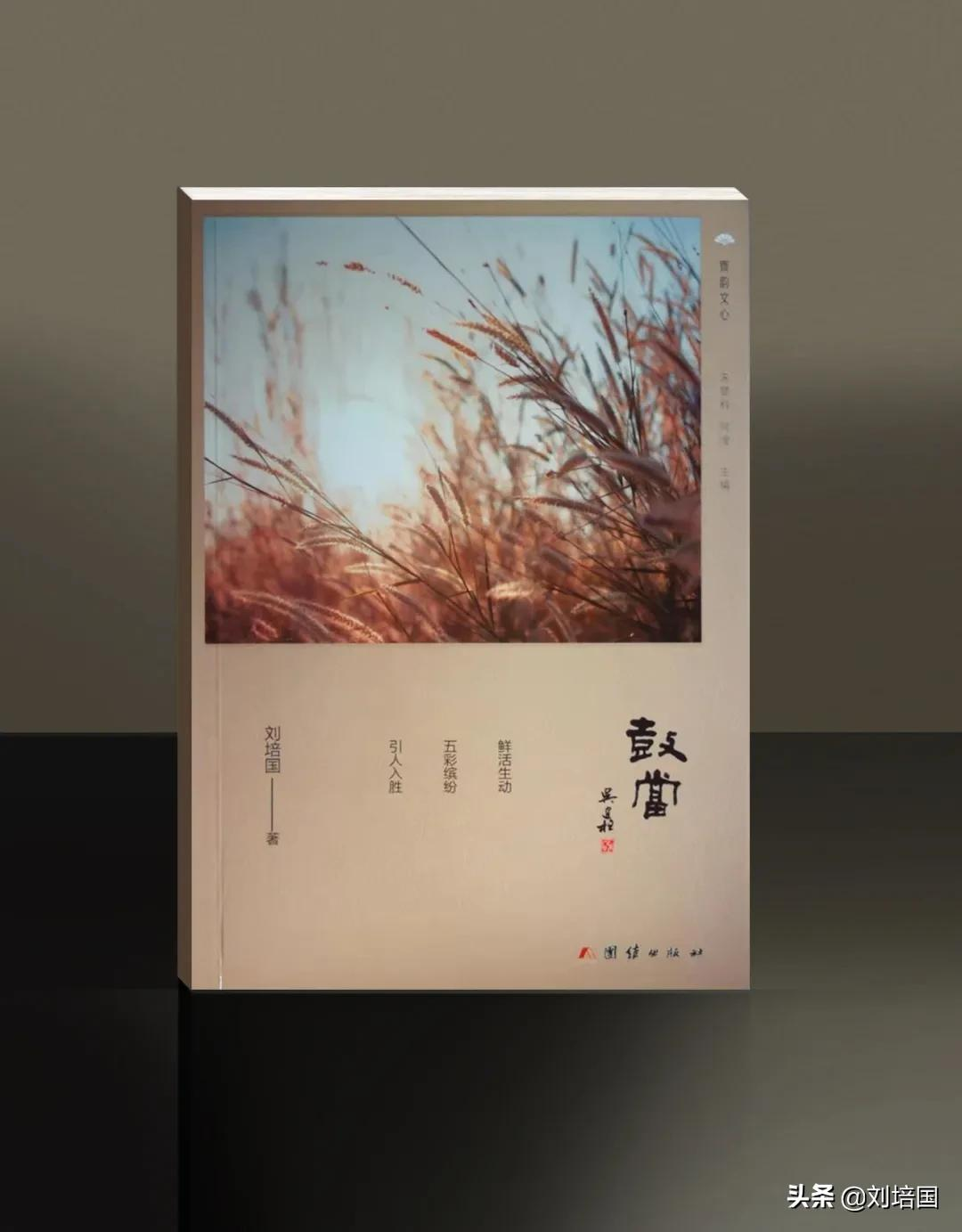 钢笔陶瓷墨水诞生五年记