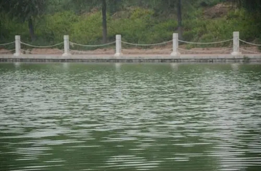 2002年，浙江一女子杀人潜逃，设计嫁入医学世家，11年后终被逮捕