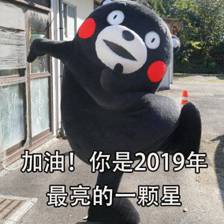 熊本熊表情包：2018年的磨难，成就了2019年的高度