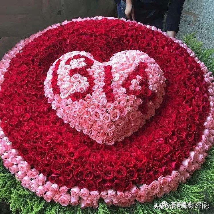 从1-9394朵玫瑰花语加图片大全,送花,原来这么多讲究!