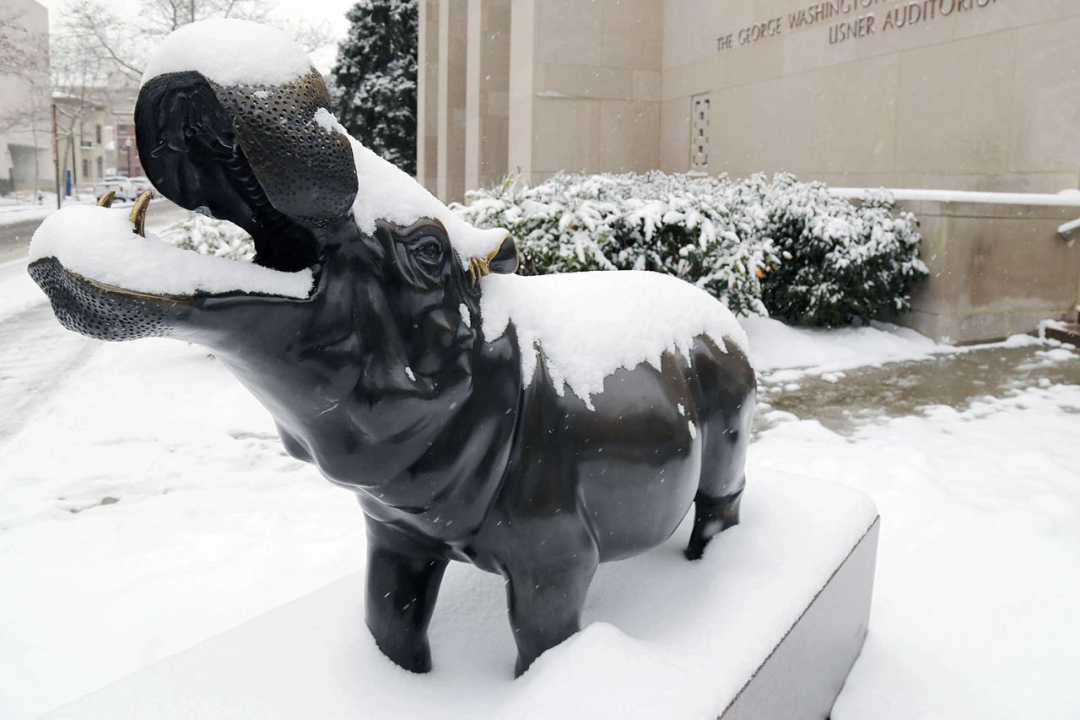 这所美国大学200岁！以国父命名，深处美国心脏，排名被低估