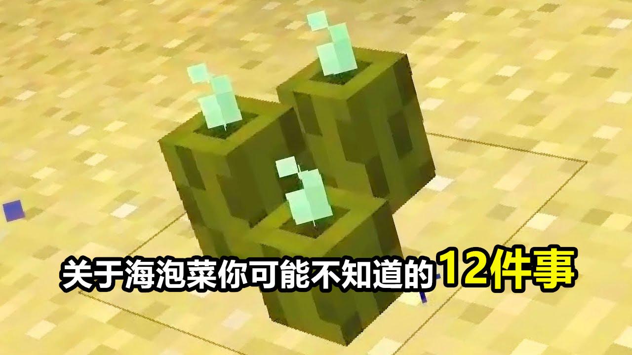 “水下火把”是什么梗？我的世界：海泡菜你可能不知道的12个事实