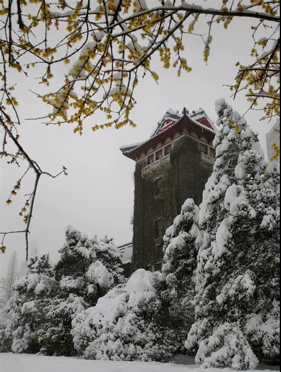 94位院士参与“主演”，拍摄横跨两个世纪，南京大学“百年巨幕”今日震撼上映！