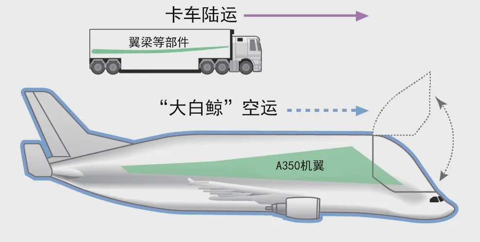 蓝鲸运输机(专为运输大部件而生，超级大白鲸投入运营，一次可装A350一对机翼)