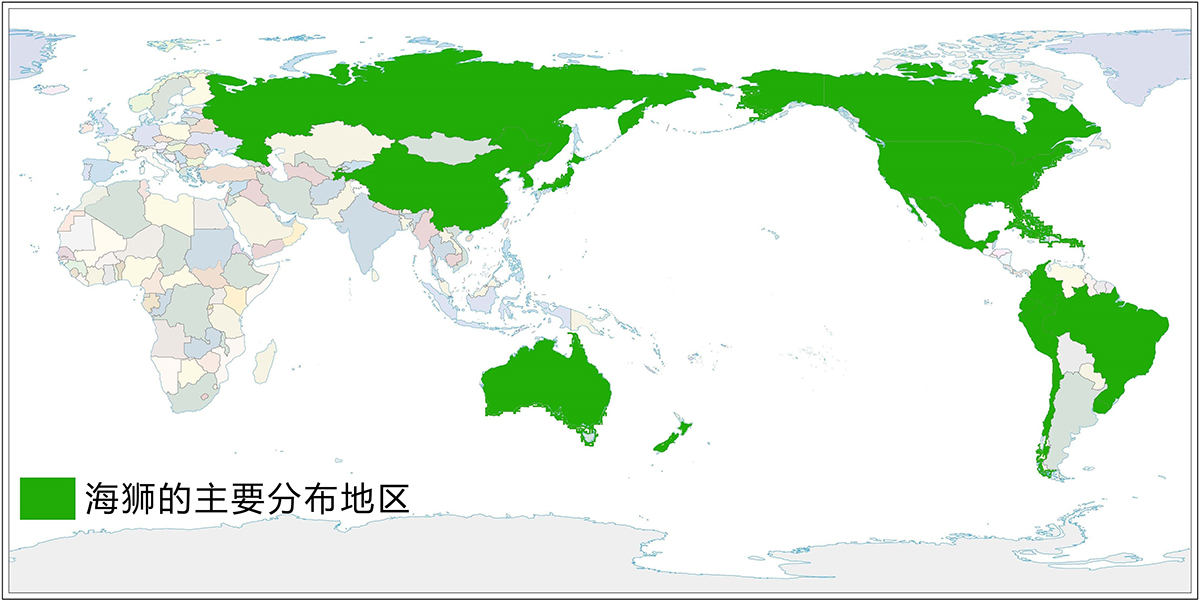 海狗和海豹的区别（区分海狗海狮海豹的方法及它们区别）