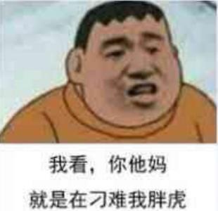 胖虎表情包：一看你就是知识粪子