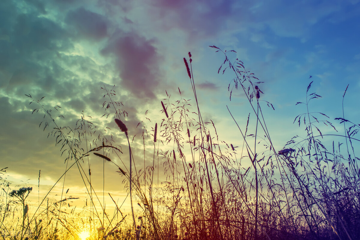 情感美文：春天的步履，以及不知疲倦的心情